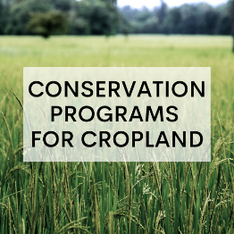 lswcd_ConsPrgForCropland