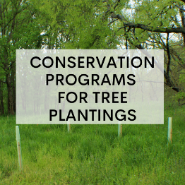 lswcd_ConsPrgForTreePlnt