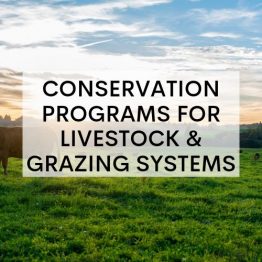 lswcd_LivestockProgramGraphic