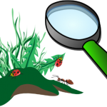 lswcd_WBYF-Logo-150×150