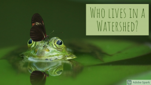 lswcd_WhoLivesInAWatershed-v0