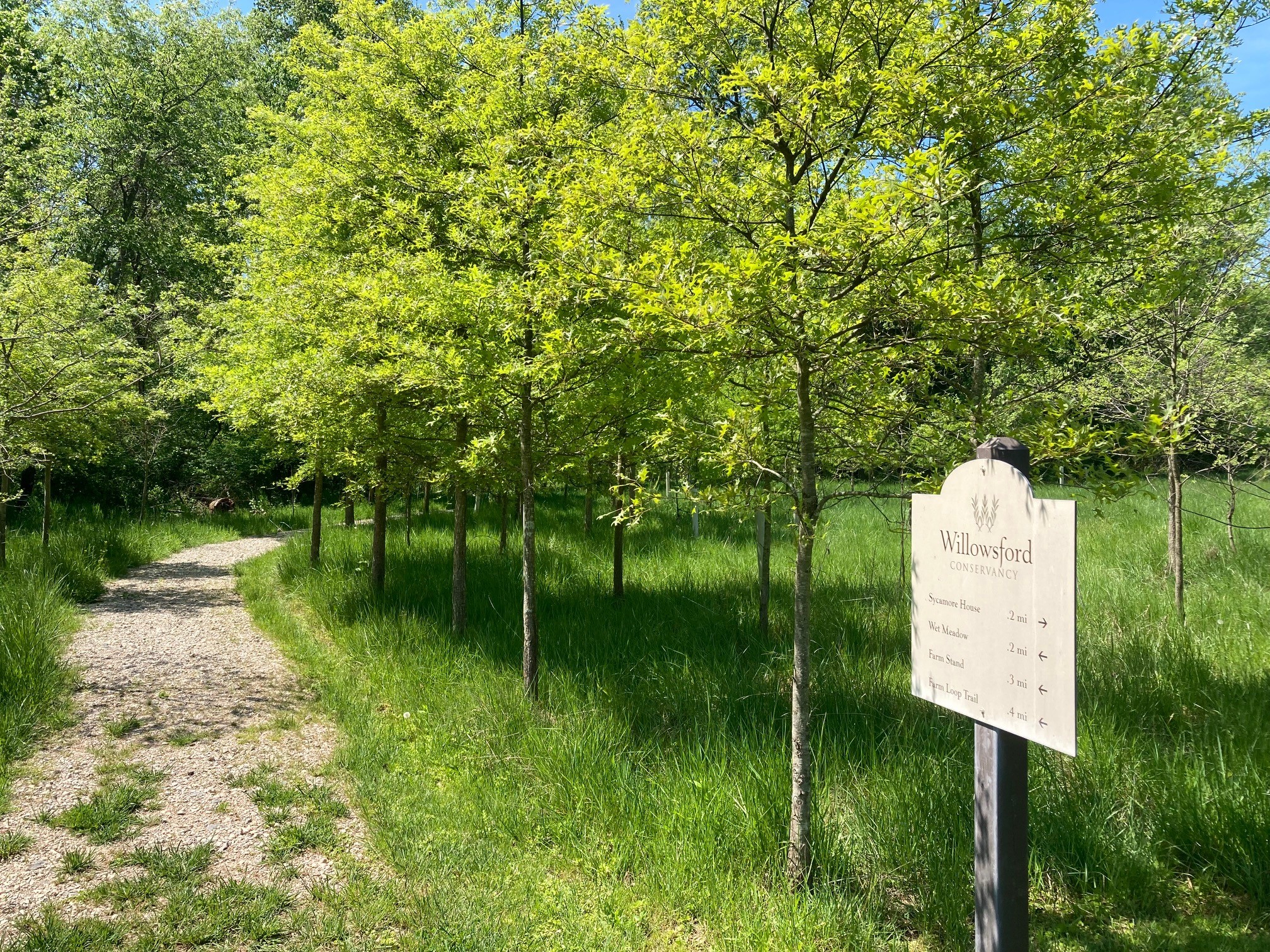 Willowsford Successful Planting Check in 2024